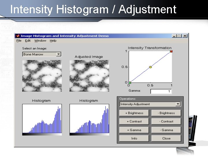 Intensity Histogram / Adjustment 