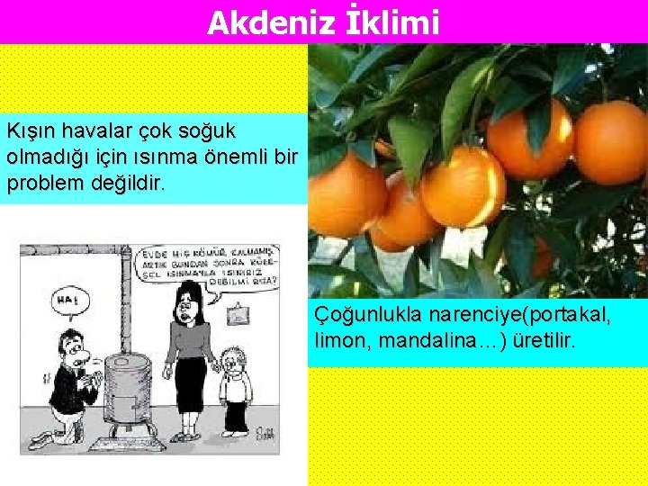 Akdeniz İklimi Kışın havalar çok soğuk olmadığı için ısınma önemli bir problem değildir. Çoğunlukla