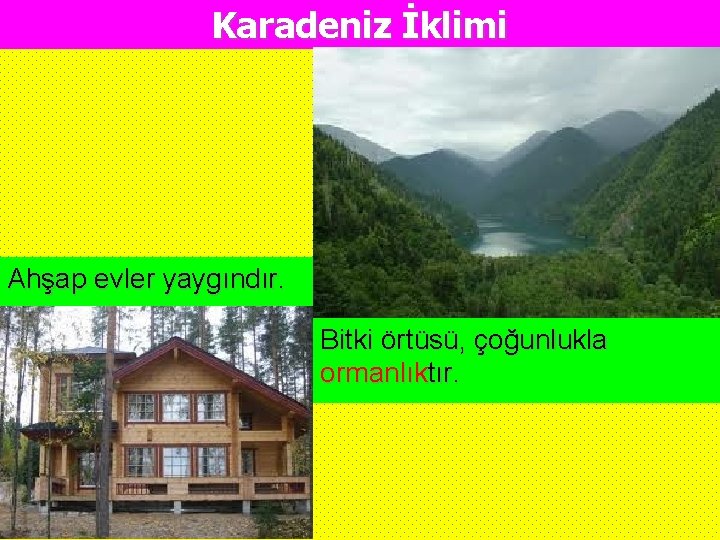 Karadeniz İklimi Ahşap evler yaygındır. Bitki örtüsü, çoğunlukla ormanlıktır. 