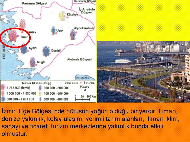 İzmir, Ege Bölgesi’nde nüfusun yoğun olduğu bir yerdir. Liman, denize yakınlık, kolay ulaşım, verimli