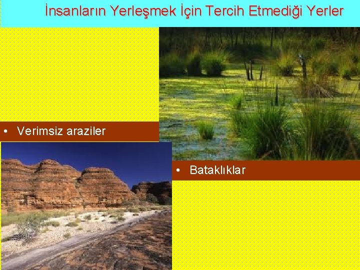 İnsanların Yerleşmek İçin Tercih Etmediği Yerler • Verimsiz araziler • Bataklıklar 