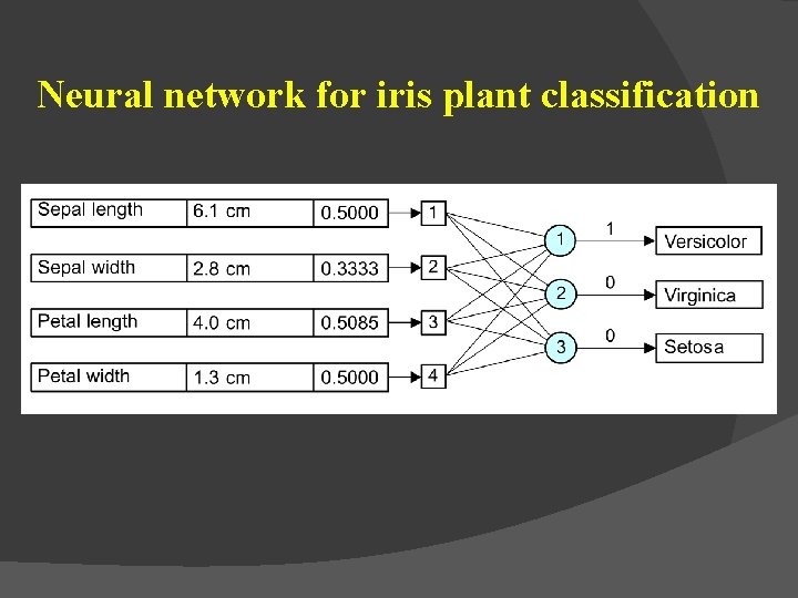 Neural network for iris plant classification 