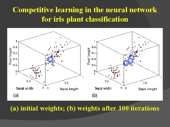 Competitive learning in the neural network for iris plant classification (a) initial weights; (b)