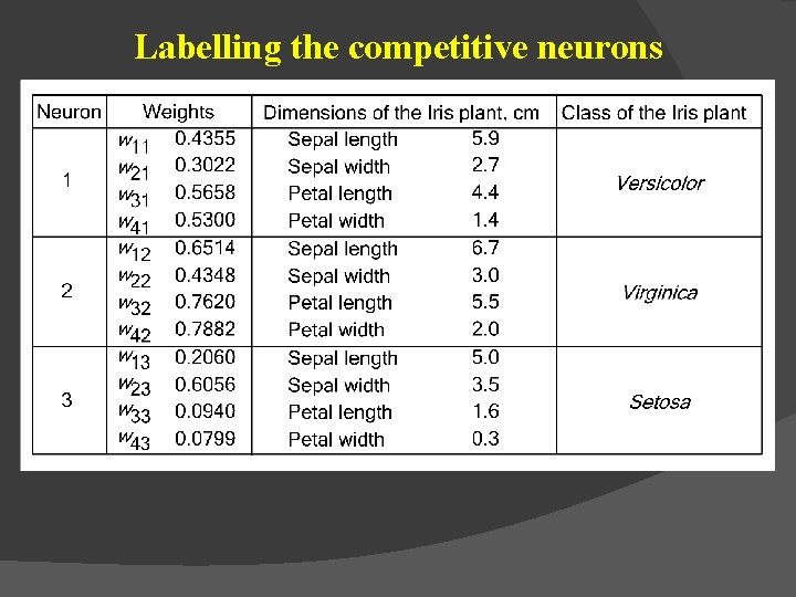 Labelling the competitive neurons 