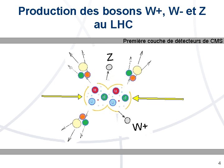 Production des bosons W+, W- et Z au LHC Première couche de détecteurs de