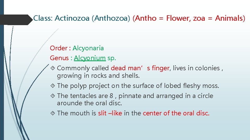 Class: Actinozoa (Anthozoa) (Antho = Flower, zoa = Animals) Order : Alcyonaria Genus :