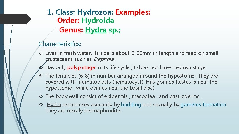 1. Class: Hydrozoa: Examples: Order: Hydroida Genus: Hydra sp. ; Characteristics: Lives in fresh