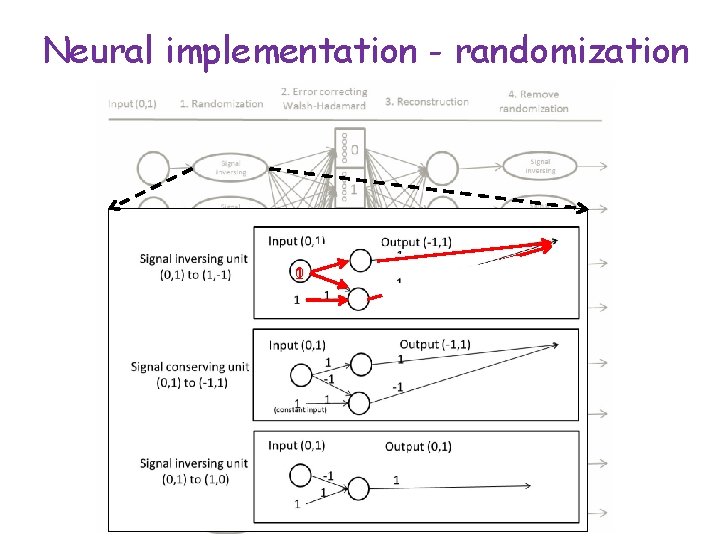 Neural implementation - randomization 0 1 