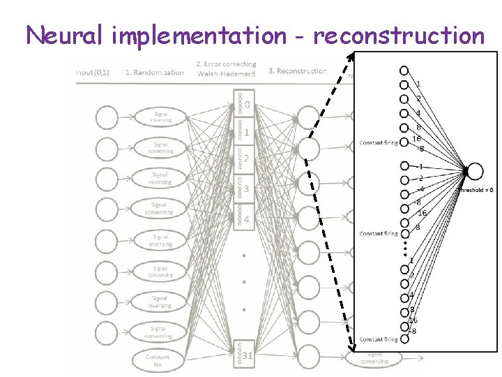 Neural implementation - reconstruction 