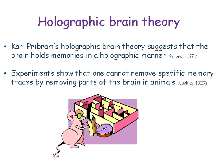 Holographic brain theory • Karl Pribram’s holographic brain theory suggests that the brain holds