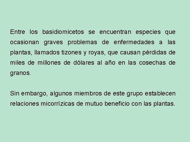 Entre los basidiomicetos se encuentran especies que ocasionan graves problemas de enfermedades a las