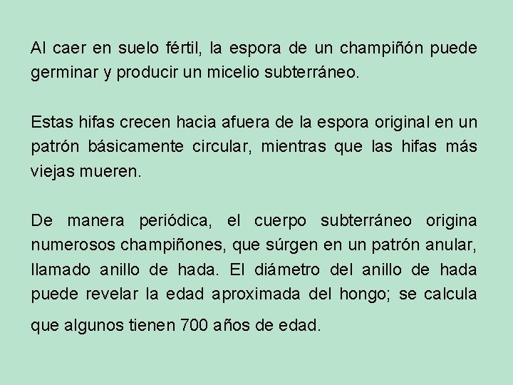 Al caer en suelo fértil, la espora de un champiñón puede germinar y producir