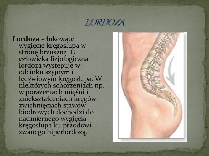 LORDOZA Lordoza – łukowate wygięcie kręgosłupa w stronę brzuszną. U człowieka fizjologiczna lordoza występuje