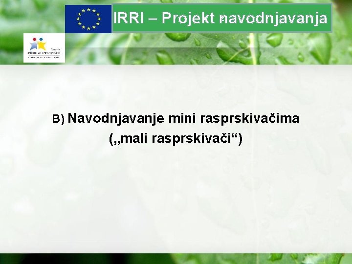 z IRRI – Projekt navodnjavanja B) Navodnjavanje mini rasprskivačima („mali rasprskivači“) 