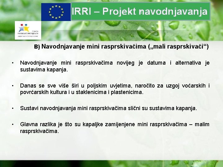 z IRRI – Projekt navodnjavanja B) Navodnjavanje mini rasprskivačima („mali rasprskivači“) • Navodnjavanje mini