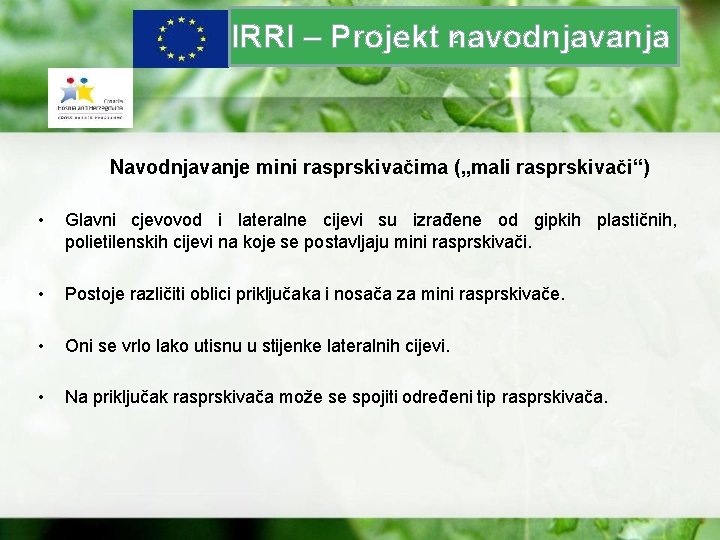 z IRRI – Projekt navodnjavanja Navodnjavanje mini rasprskivačima („mali rasprskivači“) • Glavni cjevovod i