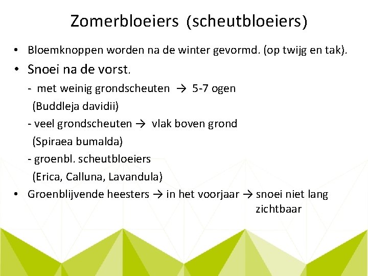 Zomerbloeiers (scheutbloeiers) • Bloemknoppen worden na de winter gevormd. (op twijg en tak). •