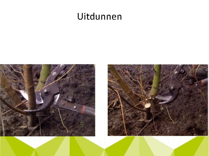 Uitdunnen 
