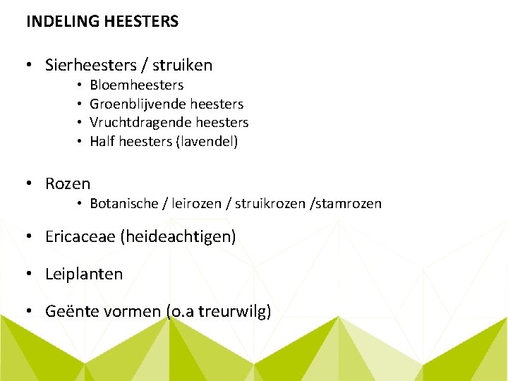 INDELING HEESTERS • Sierheesters / struiken • • Bloemheesters Groenblijvende heesters Vruchtdragende heesters Half