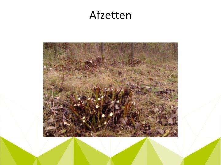 Afzetten 