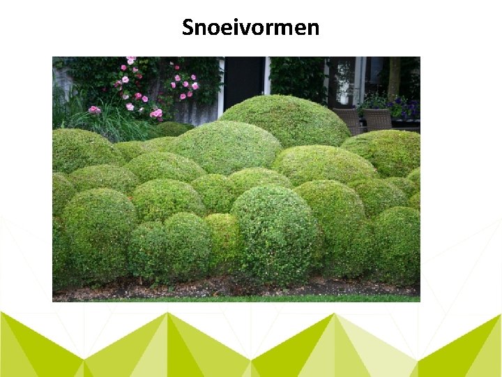 Snoeivormen 
