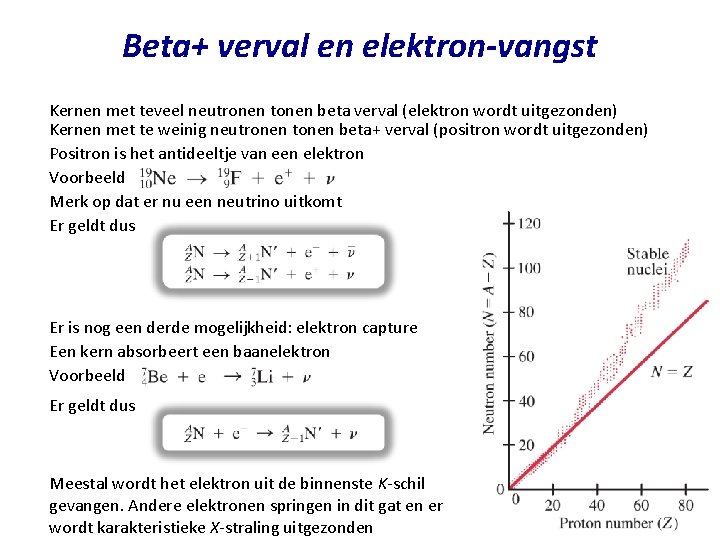 Beta+ verval en elektron-vangst Kernen met teveel neutronen tonen beta verval (elektron wordt uitgezonden)