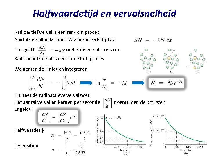 Halfwaardetijd en vervalsnelheid Radioactief verval is een random proces Aantal vervallen kernen DN binnen