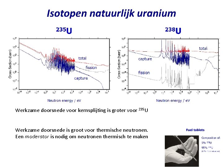 Isotopen natuurlijk uranium Werkzame doorsnede voor kernsplijting is groter voor 235 U Werkzame doorsnede