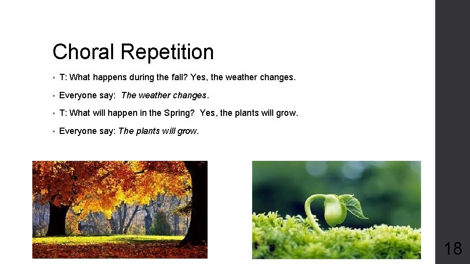 Choral Repetition • T: What happens during the fall? Yes, the weather changes. •