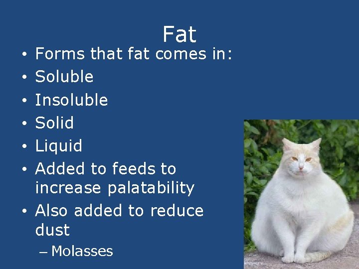 Fat Forms that fat comes in: Soluble Insoluble Solid Liquid Added to feeds to