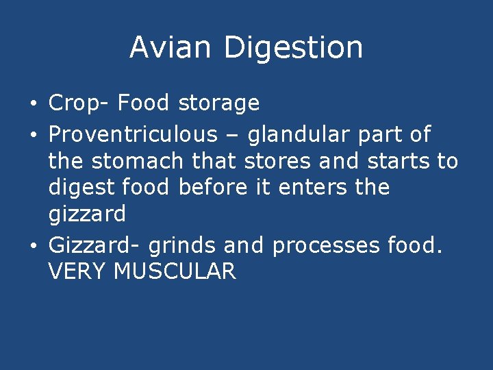 Avian Digestion • Crop- Food storage • Proventriculous – glandular part of the stomach