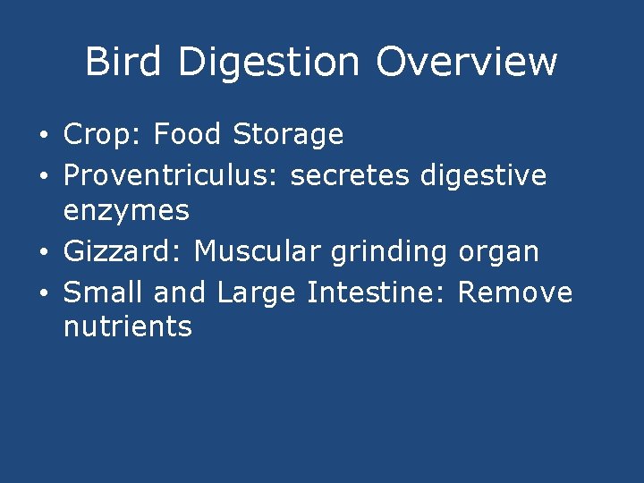 Bird Digestion Overview • Crop: Food Storage • Proventriculus: secretes digestive enzymes • Gizzard: