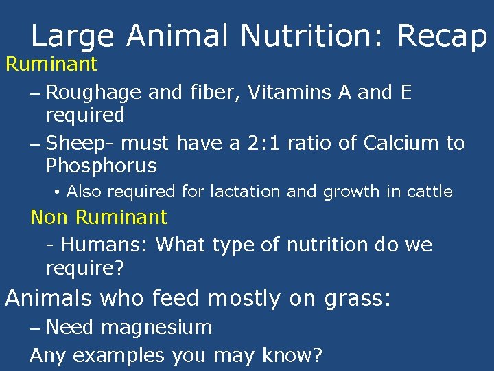 Large Animal Nutrition: Recap Ruminant – Roughage and fiber, Vitamins A and E required