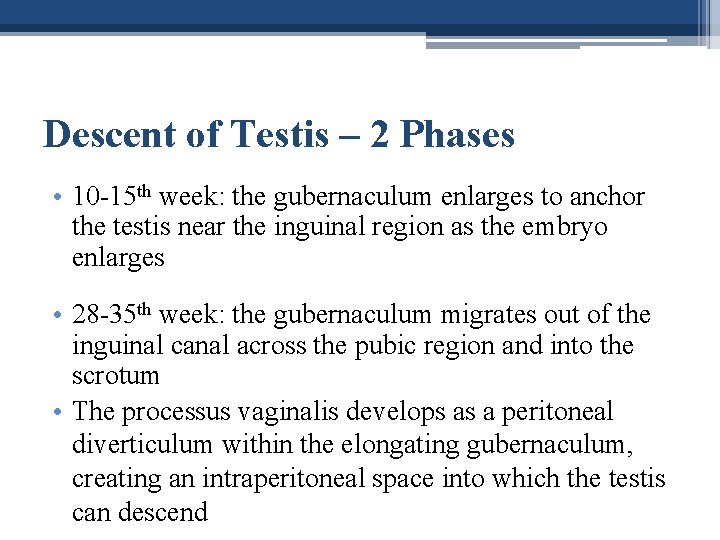 Descent of Testis – 2 Phases • 10 -15 th week: the gubernaculum enlarges