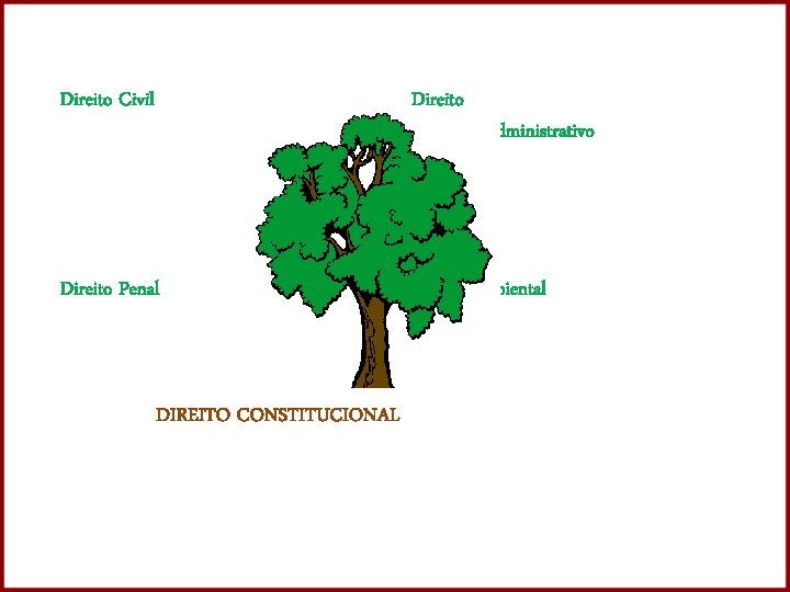 Direito Civil Direito Penal Direito Ambiental Administrativo DIREITO CONSTITUCIONAL 30 