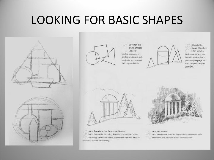 LOOKING FOR BASIC SHAPES 