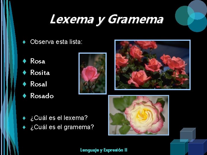 Lexema y Gramema ♦ Observa esta lista: ♦ ♦ Rosa Rosita Rosal Rosado ♦