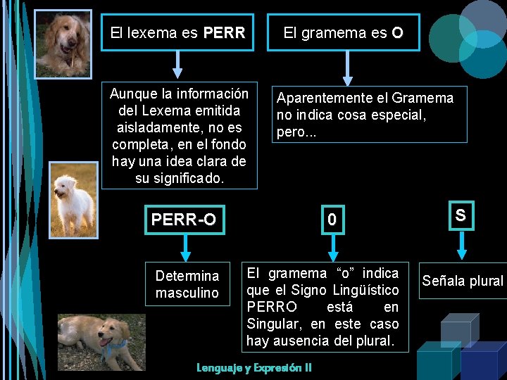 El lexema es PERR El gramema es O Aunque la información del Lexema emitida