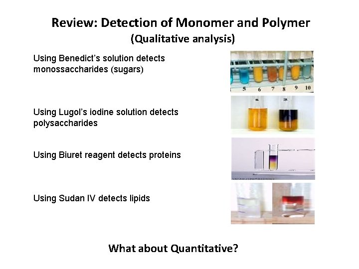 Review: Detection of Monomer and Polymer (Qualitative analysis) Using Benedict’s solution detects monossaccharides (sugars)