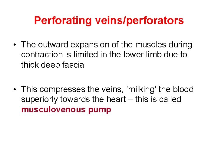 Perforating veins/perforators • The outward expansion of the muscles during contraction is limited in