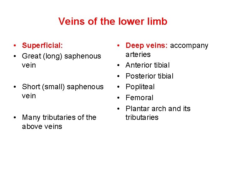 Veins of the lower limb • Superficial: • Great (long) saphenous vein • Short