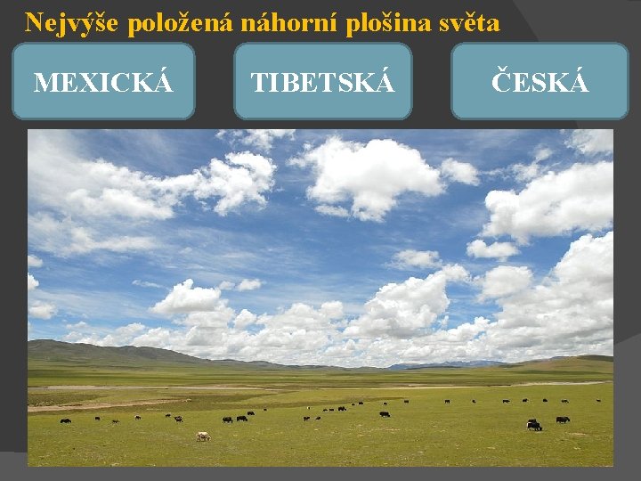 Nejvýše položená náhorní plošina světa MEXICKÁ TIBETSKÁ ČESKÁ 