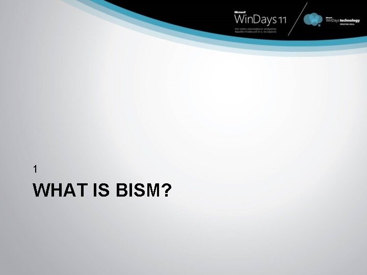 1 WHAT IS BISM? 