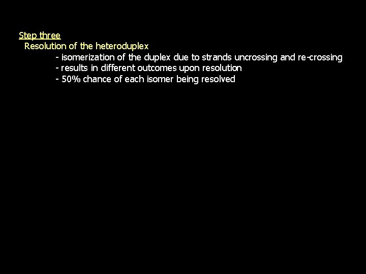 Step three Resolution of the heteroduplex - isomerization of the duplex due to strands