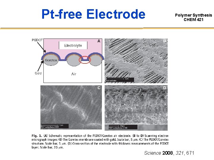 Pt-free Electrode Polymer Synthesis CHEM 421 Science 2008, 321, 671 