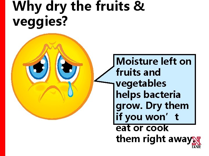 Why dry the fruits & veggies? Moisture left on fruits and vegetables helps bacteria