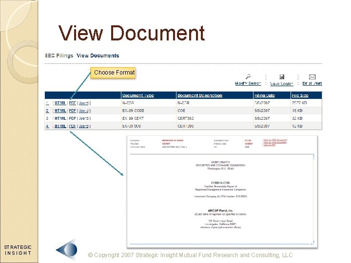 View Document Choose Format STRATEGIC INSIGHT © Copyright 2007 Strategic Insight Mutual Fund Research