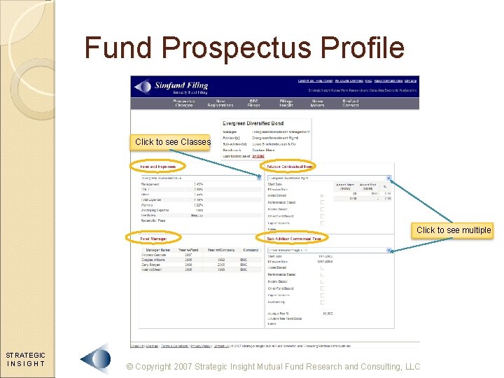 Fund Prospectus Profile Click to see Classes Click to see multiple STRATEGIC INSIGHT ©