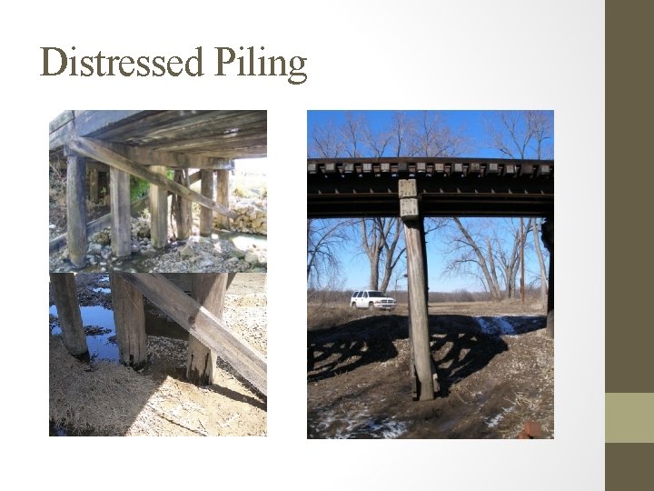 Distressed Piling 