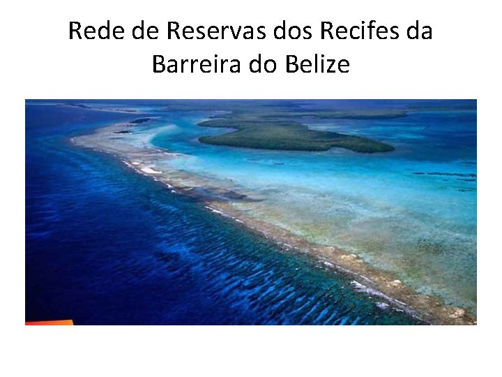 Rede de Reservas dos Recifes da Barreira do Belize 